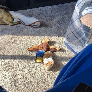 Meet your Posher, Jesse